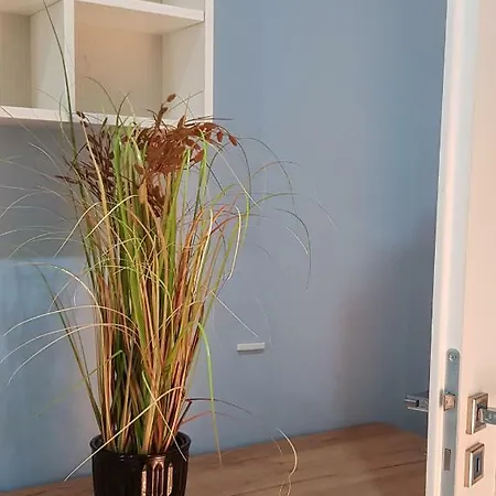 Budget 3 Apartamento